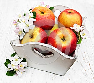 Apples and apple tree blossoms