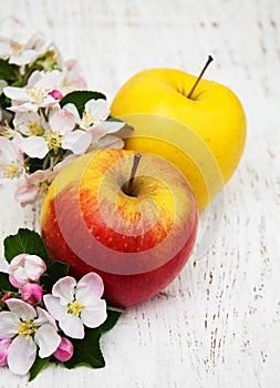 Apples and apple tree blossoms