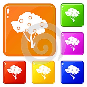 Apples on apple tree branches icons set vector color