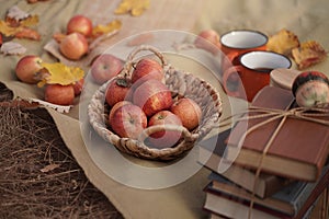 Apples in a basket, a old novels book, a couple of cups on an autumn picnic, autumn still life, the concept of coziness in a rural