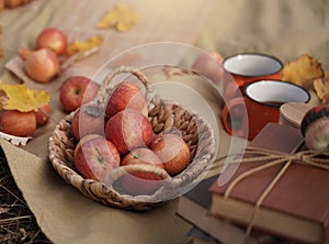 Apples in a basket, a old novels book, a couple of cups on an autumn picnic, autumn still life, the concept of coziness in a rural
