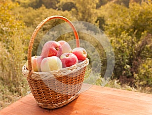 Apples in a basket on wooden table against garden background