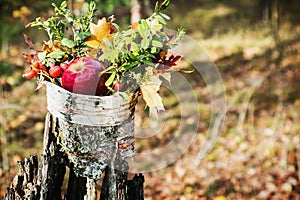 apples and berries of wild rose on the moss in autumn forest