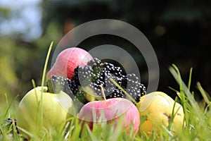 Apples and blackberry