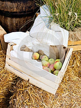 Apples in the box