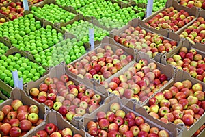 Apples in boxes in a warehouse