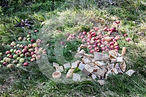 Apples and bread as a feeding place