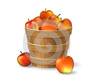 Apples bucket illustration
