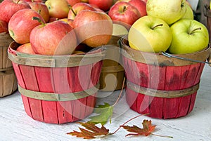 Apples in bushel baskets photo
