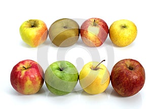 Apples, Calville, Canada, Golden, Granny Smith, Pink Lady, Royal Gala, Starling, malus domestica