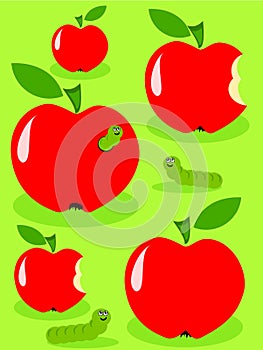 Apples and caterpillar