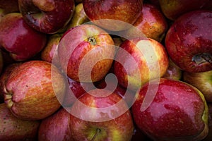 Apples close up at market. Red apples background