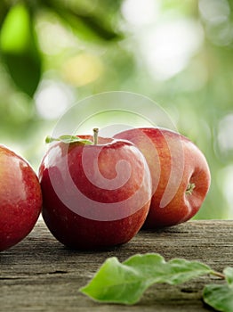 Apples photo