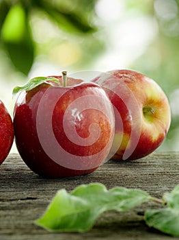 Apples photo