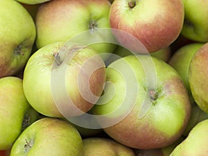 Apples, Cox