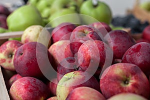 Apples at the fair