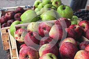 Apples at the fair