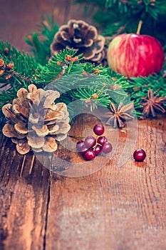 Apples and fir branch