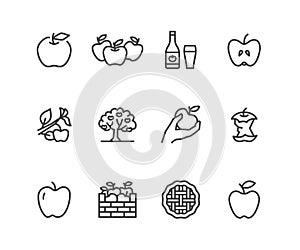 Apples flat line icons. Apple picking, autumn harvest festival, craft fruit cider illustrations. Thin signs for organic