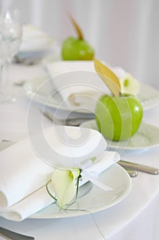 apples and flower on plates
