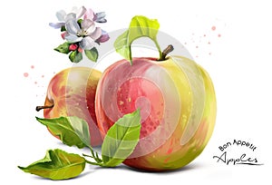 Apples, flowers and splashes