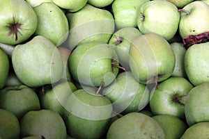 Closeup photo with many green organic apples collected in Steinsel, Luxembourg photo