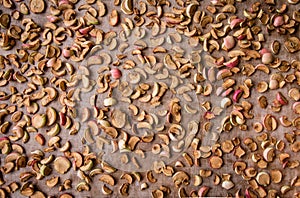 Apples getting dried