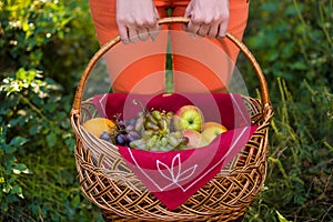 Apples and grapes basket, holded by woman hands