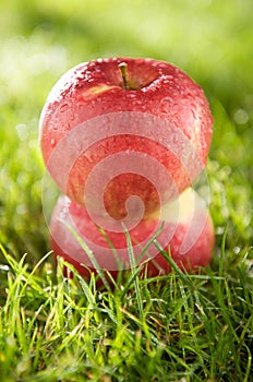 Apples on the grass