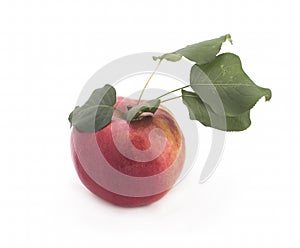 Apples with green leaves on a white background