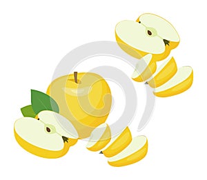 Apples with half apple and slices. Vector illustration on white background.