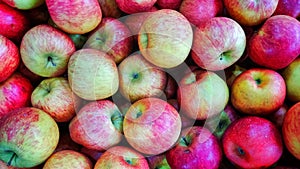 Apples, imagem background photo