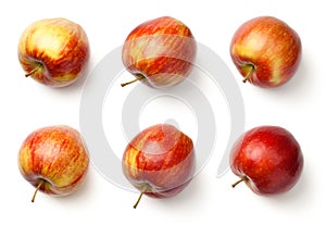 Apples Isolated on White Background