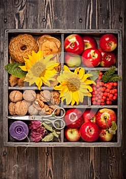 Apples, nuts, flowers sunflower