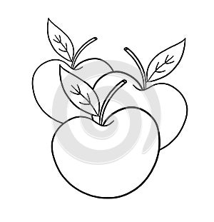 Apples outline illustration on white background