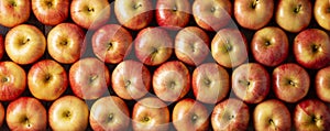 Apples panoramic background