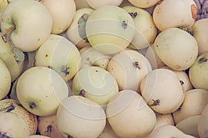 Apples in pastel colors