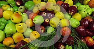 Apples and pears. A vivid close-up of colorful fruits. Ideal for the concept of a healthy lifestyle