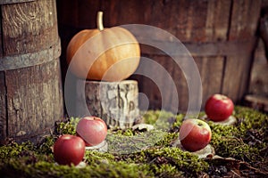 Apples and pumpkin on green moss