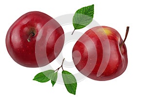 Apples are red, two, isolated on a white background