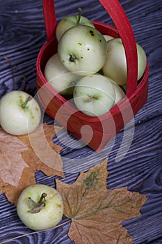 Apples in a red wicker basket. Nearby are apples and dried maple leaves. Fruit harvest