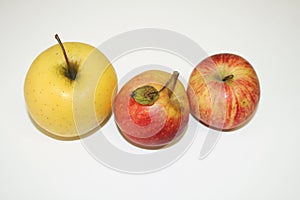 Apples red and yellow on white background photo