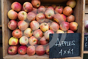 Apples for sale