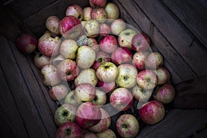 Apples for sale in container at local market