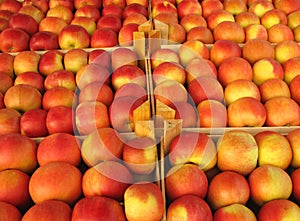 Apples in selling crates