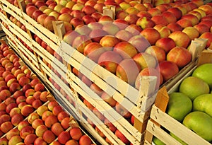 Apples in selling crates