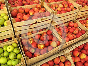 Apples in selling crates on market photo