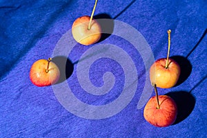 Apples with shadows on a blue paper