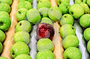 Apples sorting and packing