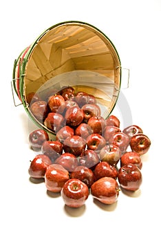 Bushel basket of red apples photo